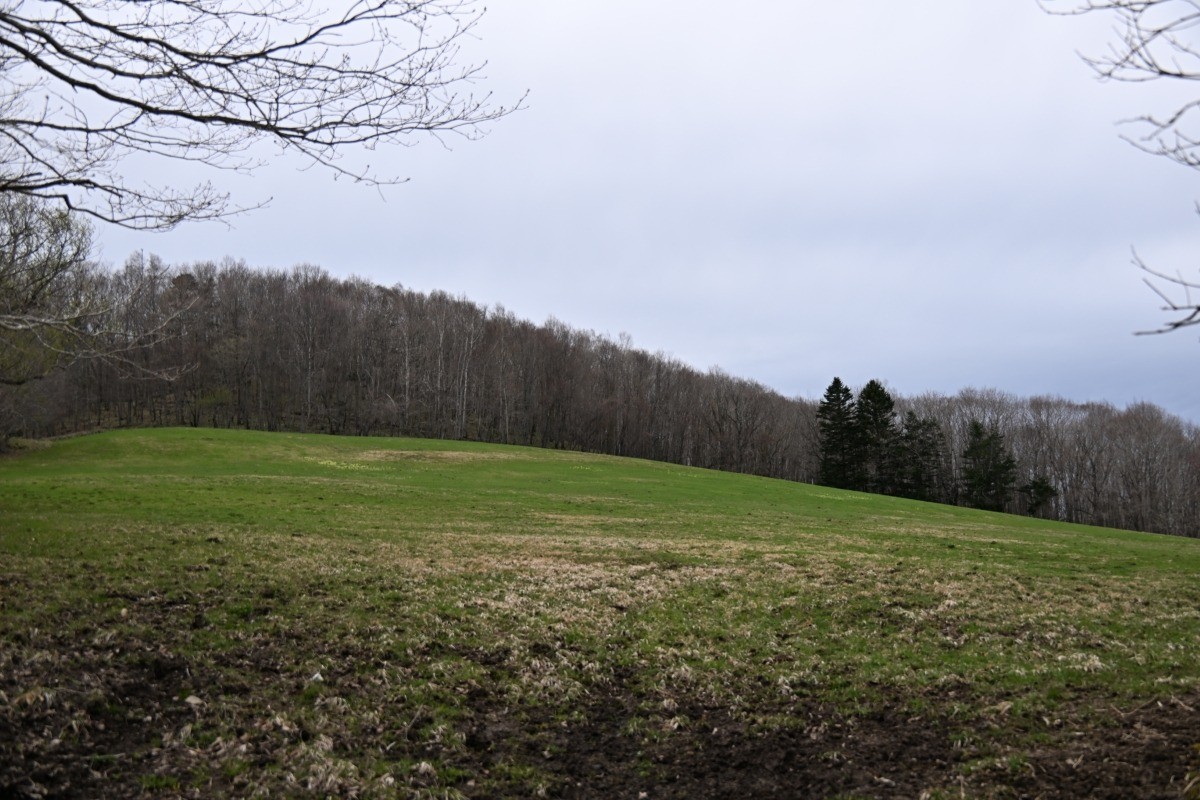d87b49972bed2786f66adf92acbe1624-1747373366.jpg